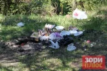 Добрянський парк перетворюється на звалище, а влада не знає, як оформити міські ліси в добрянський