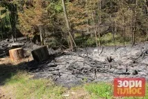 Добрянський парк перетворюється на звалище, а влада не знає, як оформити міські ліси в перетворюється