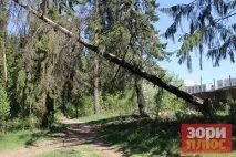 Добрянський парк перетворюється на звалище, а влада не знає, як оформити міські ліси в парк