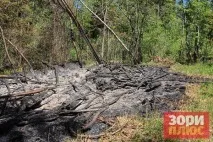 Добрянський парк перетворюється на звалище, а влада не знає, як оформити міські ліси в перетворюється