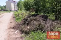 Добрянський парк перетворюється на звалище, а влада не знає, як оформити міські ліси в перетворюється