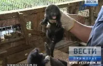 сході