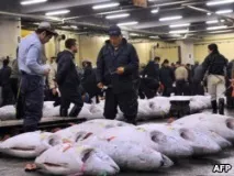 Ембарго на продукти скасовувати не треба” скасовувати