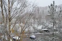 Європейські дерева, Країна Майстрів країна
