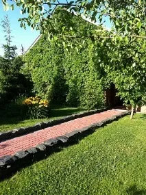 саду