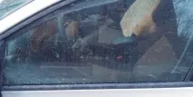 Фольксваген Поло седан плюси та мінуси фольксваген