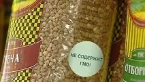 Генетично модифіковані організми (ГМО) організми