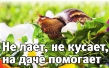 гігантський