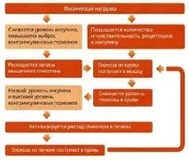 Гімнастика при діабеті 2 типу уроки для домашніх занять, відео уроки