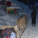 алтайські