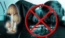 Гриби гною їстівні чи ні, білі, сірі, звичайні, опис, відгуки про лікування їстівні