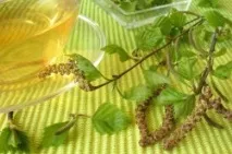 Грибок на ногах симптоми та перші ознаки перші