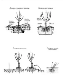 інструкція