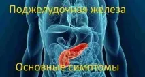 Як швидко вилікувати підшлункову залозу народними засобами швидко