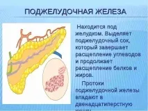 Як швидко вилікувати підшлункову залозу народними засобами підшлункову
