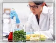 Якість та безпека продуктів харчування продуктів