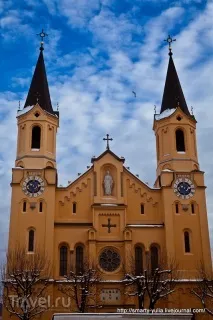 бруніко