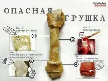 Які кісточки давати щеняті щеняті