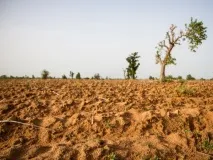 Яке робити заземлення в піщаному ґрунті робити