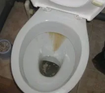 унітаз