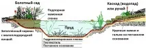 облаштувати