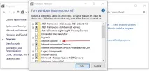 Як вимкнути Internet Explorer у Windows 10, PC Life life