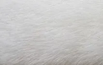 Як почистити шубу почистити