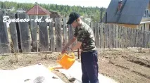 буряк