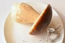 правильно