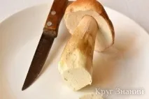 чистити