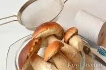 чистити
