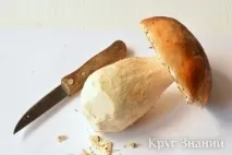 білі
