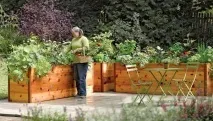 Як зробити грядки прості секрети хороших грядок для дачі секрети