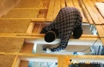Як самостійно утеплити стелю у дерев’яному будинку чи лазні, Папа майстер! дерев