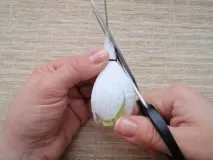 цукерок