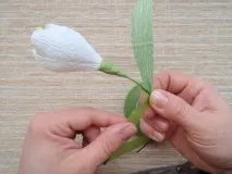 цукерок