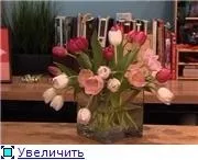 квіти