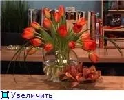 квіти