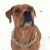 настя