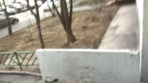 роздавали
