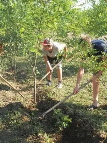 Календар садівника-городника на червень, що можна посадити і зібрати в червні, догляд за садом садівника-городника