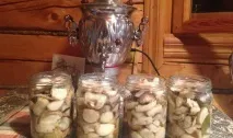 Консервування грибів рядів у домашніх умовах рецепти та фото консервованих заготовок на зиму умовах
