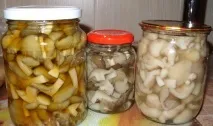 Консервування грибів рядів у домашніх умовах рецепти та фото консервованих заготовок на зиму рядів