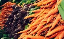 Коли прибирати моркву та буряк прибирати