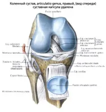 става