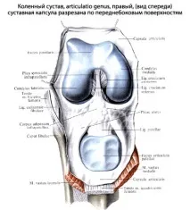 структура