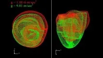 Космос у серці чому астронавти - Аполлона - більше колег схильні до кардіохвороб серці