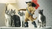 Котячий бум Чому коти популярніші за інших тварин, і як бренди використовують їх у рекламі популярніші