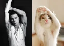 блогер