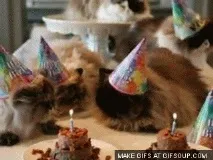 котани